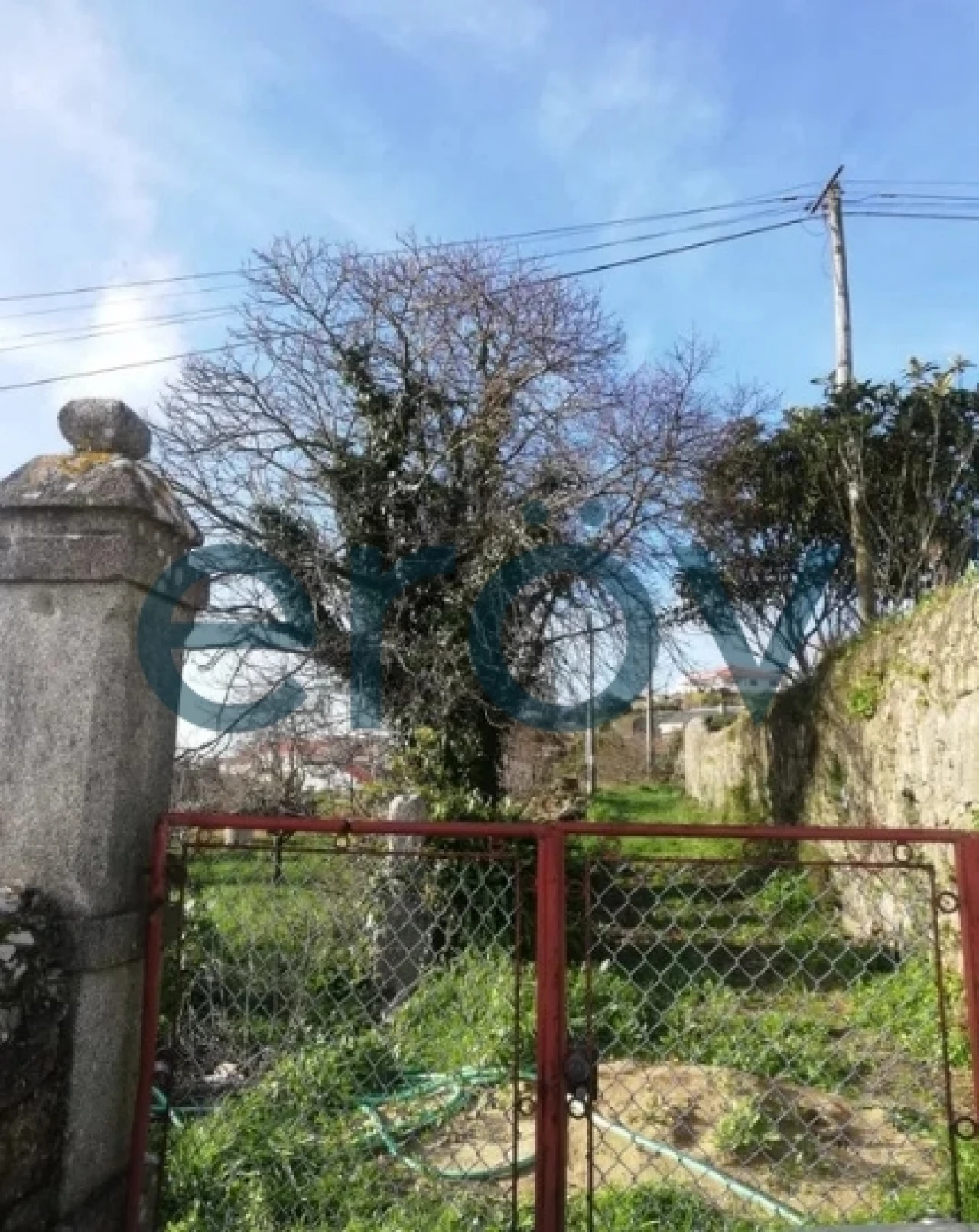 Terreno para Venda em Carreço Foto 5