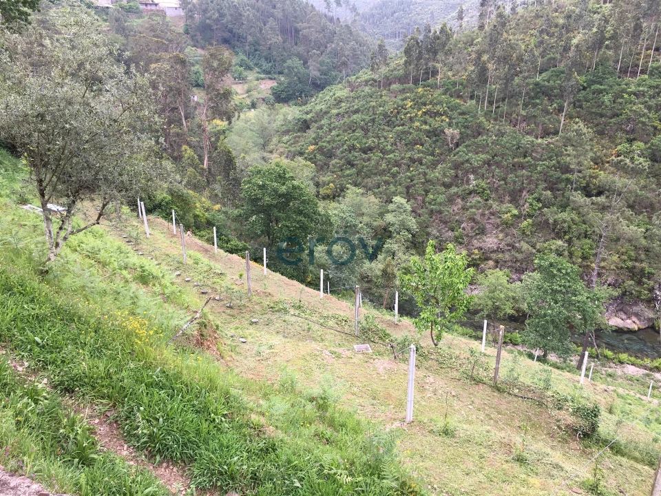 Quinta T0 para Venda em Moldes Foto 2