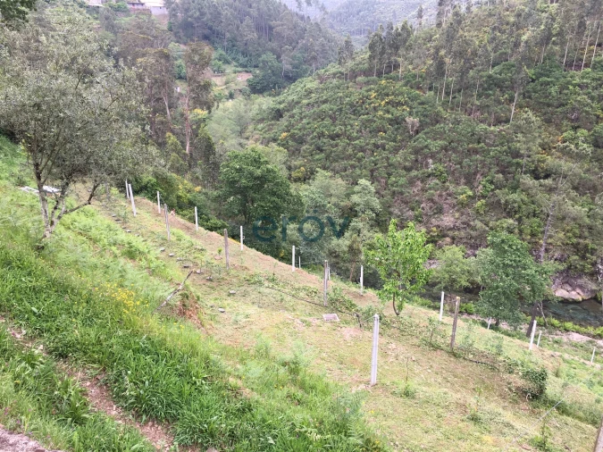 Quinta T0 para Venda em Moldes Foto 2