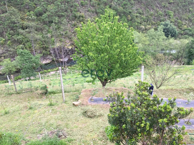 Quinta T0 para Venda em Moldes Foto 6