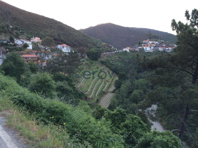 Quinta T0 para Venda em Moldes Foto 7