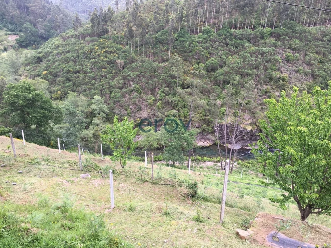 Quinta T0 para Venda em Moldes Foto 10