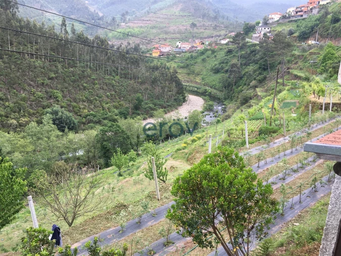 Quinta T0 para Venda em Moldes Foto 9