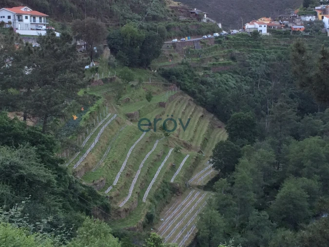 Quinta T0 para Venda em Moldes Foto 8