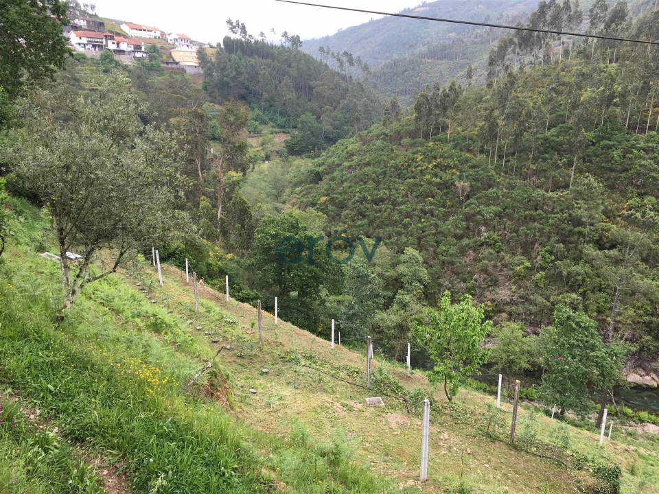 Quinta T0 para Venda em Moldes Foto 4