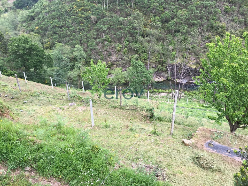 Quinta T0 para Venda em Moldes Foto 5