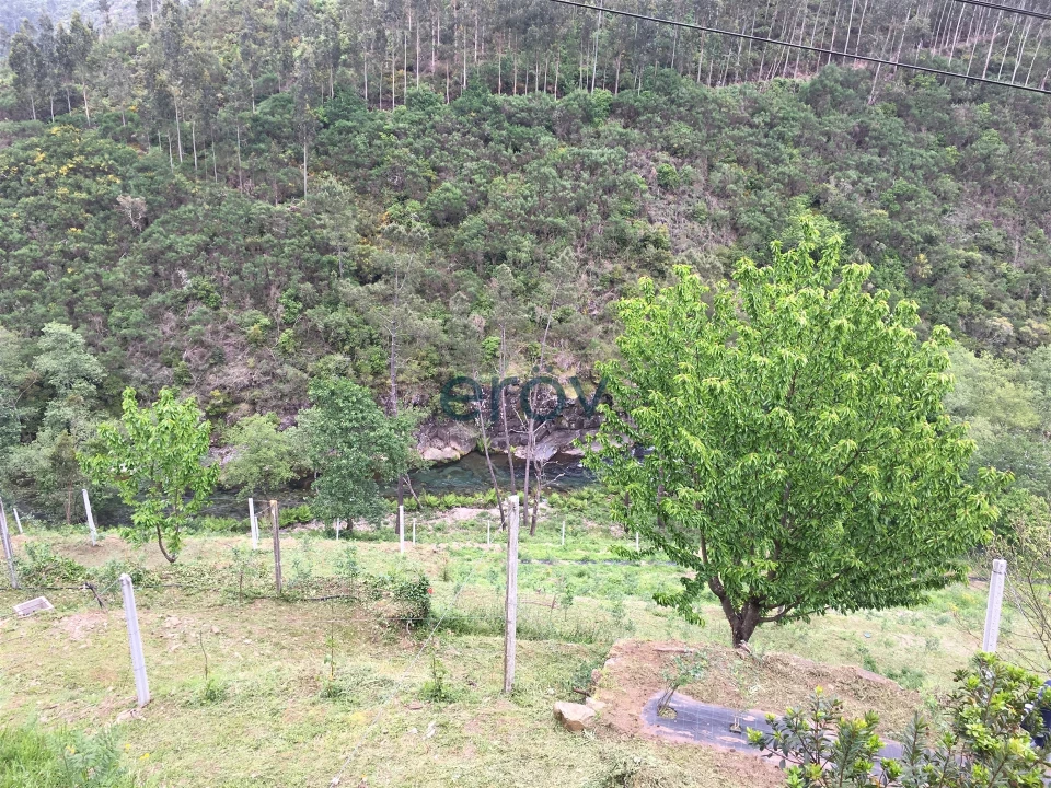 Quinta T0 para Venda em Moldes Foto 3