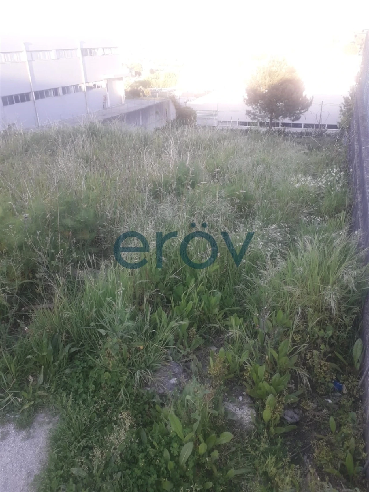 Terreno Comércio / Armazém para Venda em Selho São Lourenço e Gominhães Foto 6