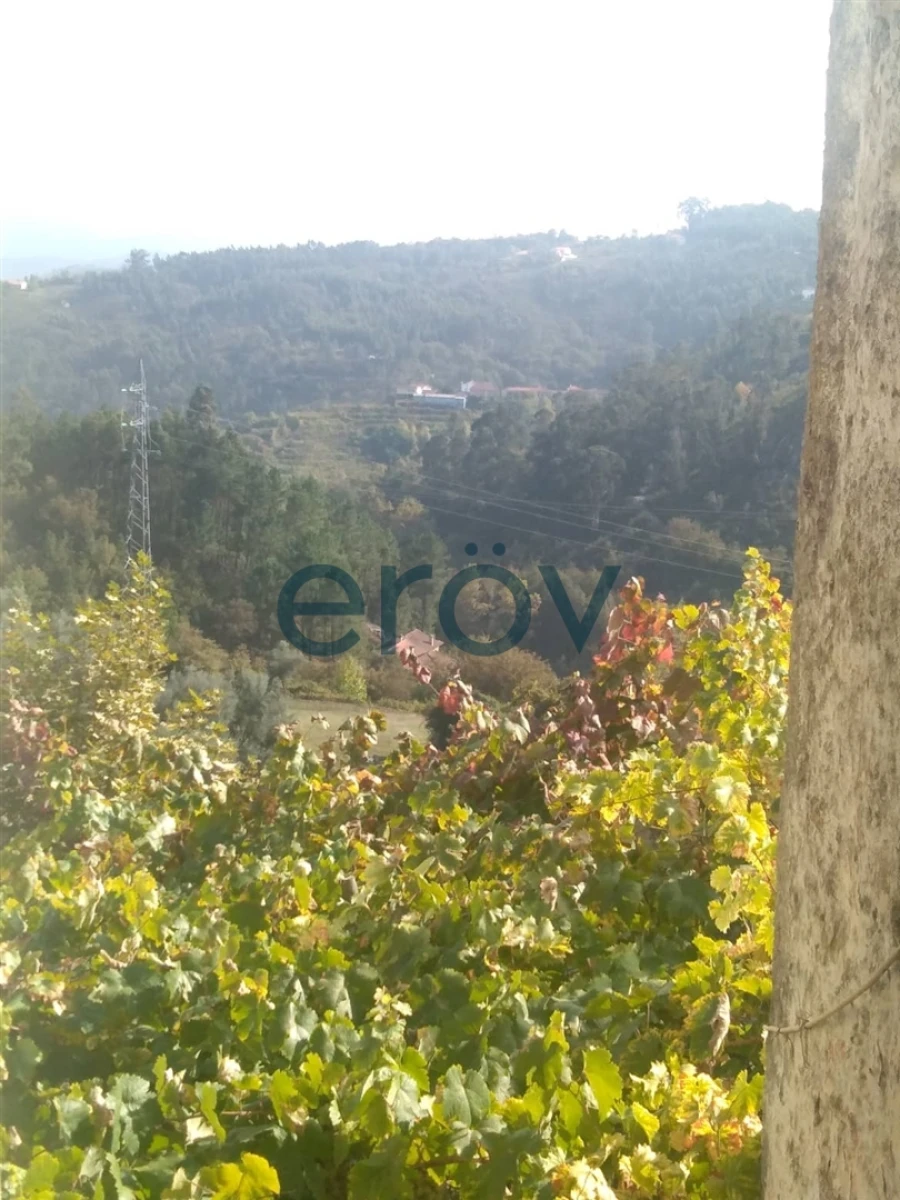 Quinta T4 para Venda em Britelo, Gémeos e Ourilhe Foto 5