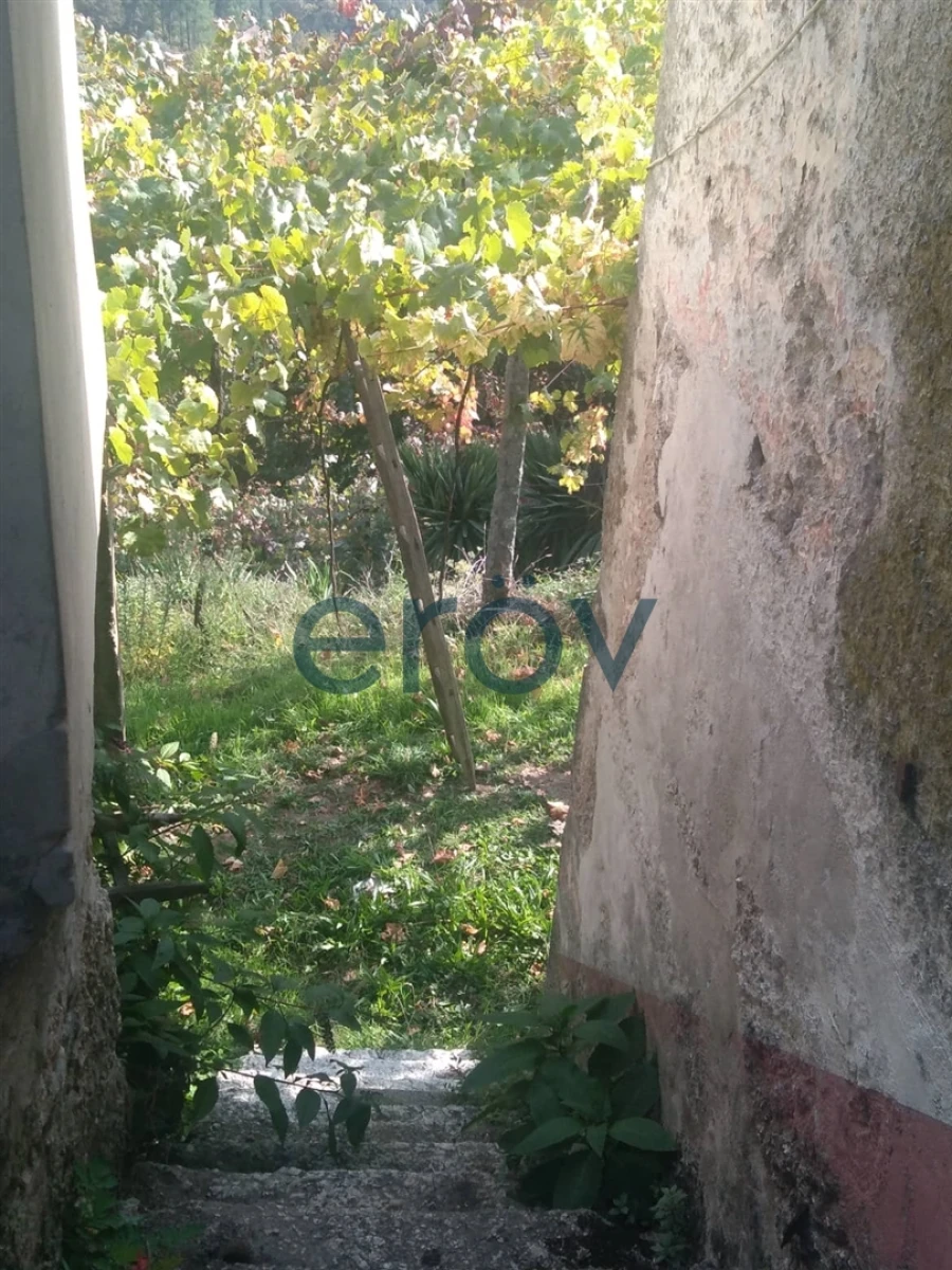 Quinta T4 para Venda em Britelo, Gémeos e Ourilhe Foto 3