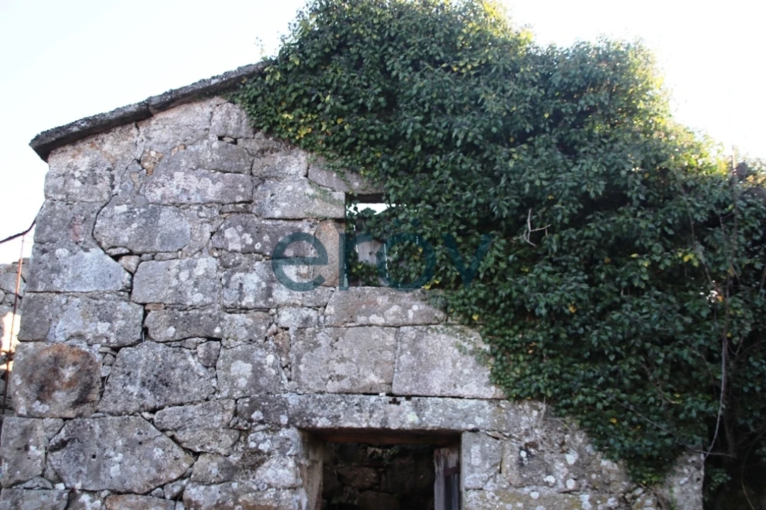 Quinta T0 para Venda em Ruivães e Campos Foto 32