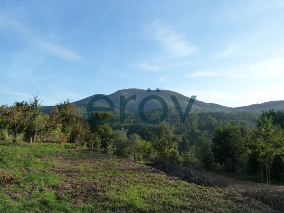 Quinta T0 para Venda em Ruivães e Campos Foto 10