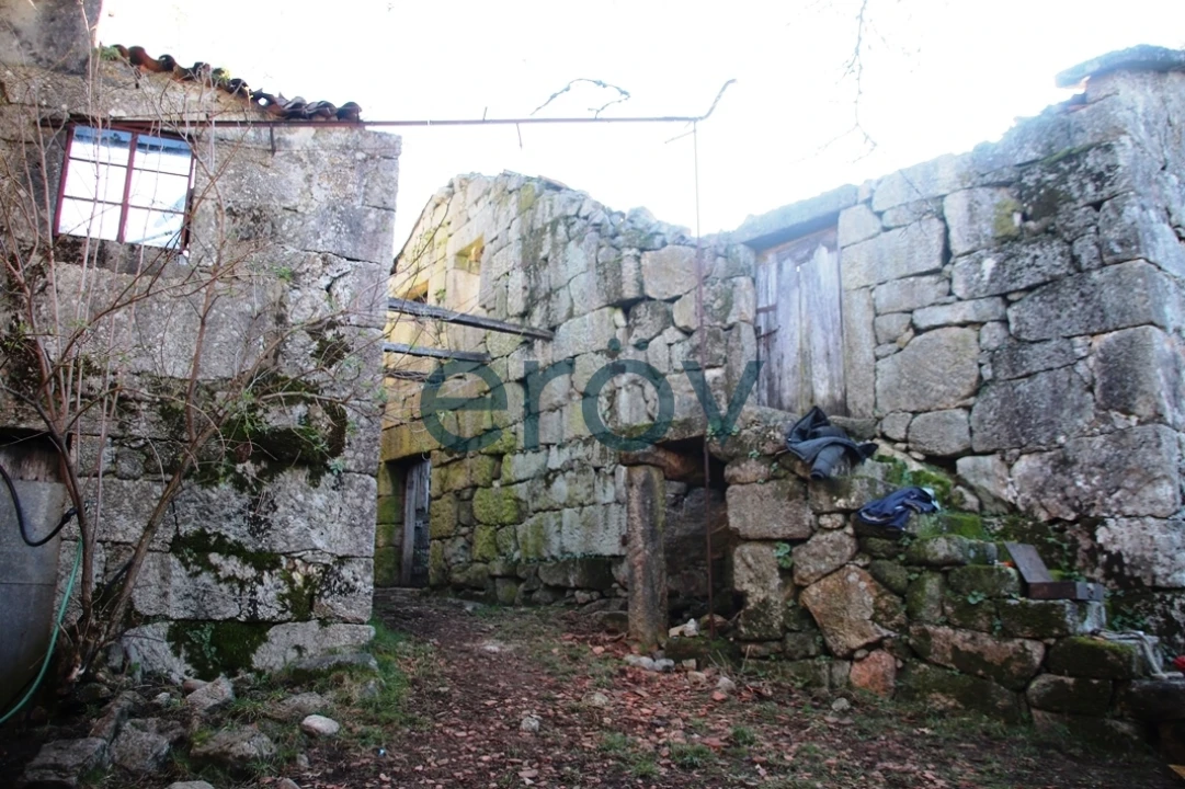 Quinta T0 para Venda em Ruivães e Campos Foto 26