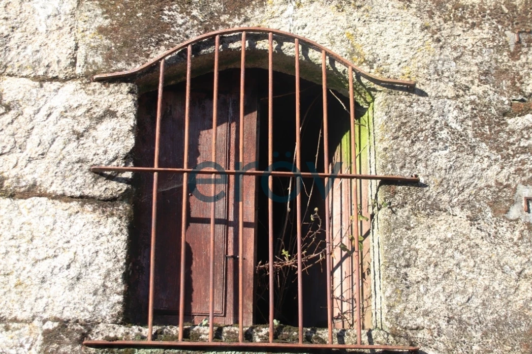 Quinta T0 para Venda em Ruivães e Campos Foto 27