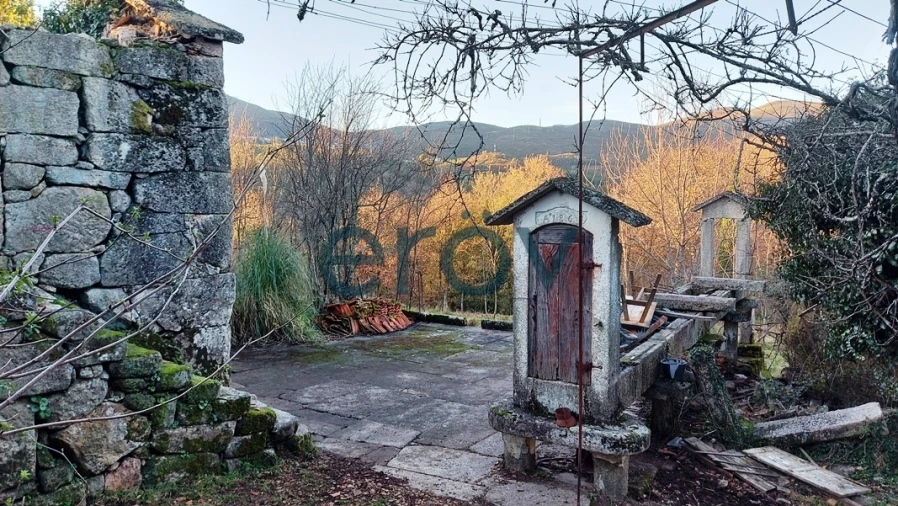 Quinta T0 para Venda em Ruivães e Campos Foto 14