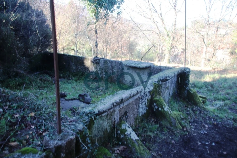 Quinta T0 para Venda em Ruivães e Campos Foto 23