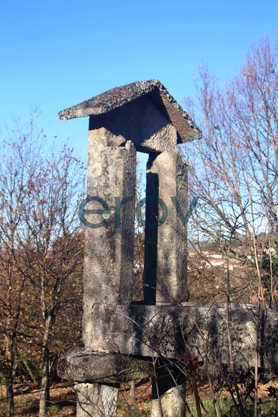 Quinta T0 para Venda em Ruivães e Campos Foto 29