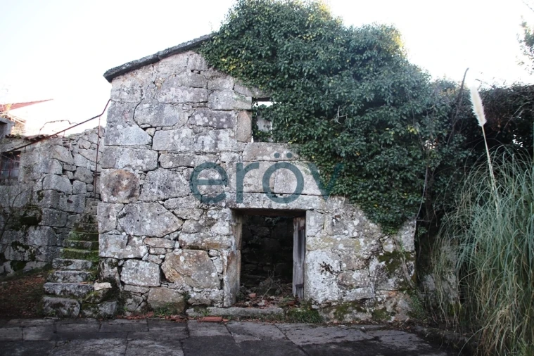 Quinta T0 para Venda em Ruivães e Campos Foto 6