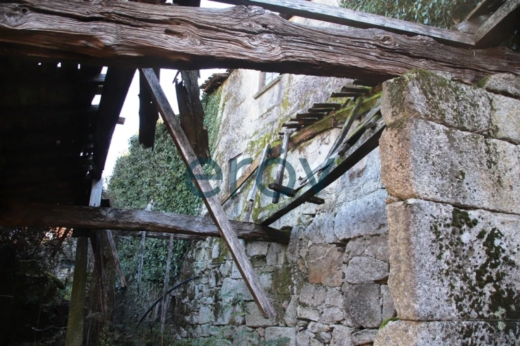 Quinta T0 para Venda em Ruivães e Campos Foto 24