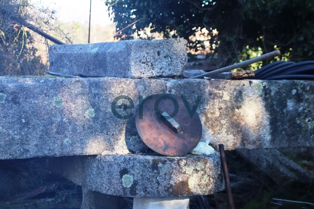 Quinta T0 para Venda em Ruivães e Campos Foto 30