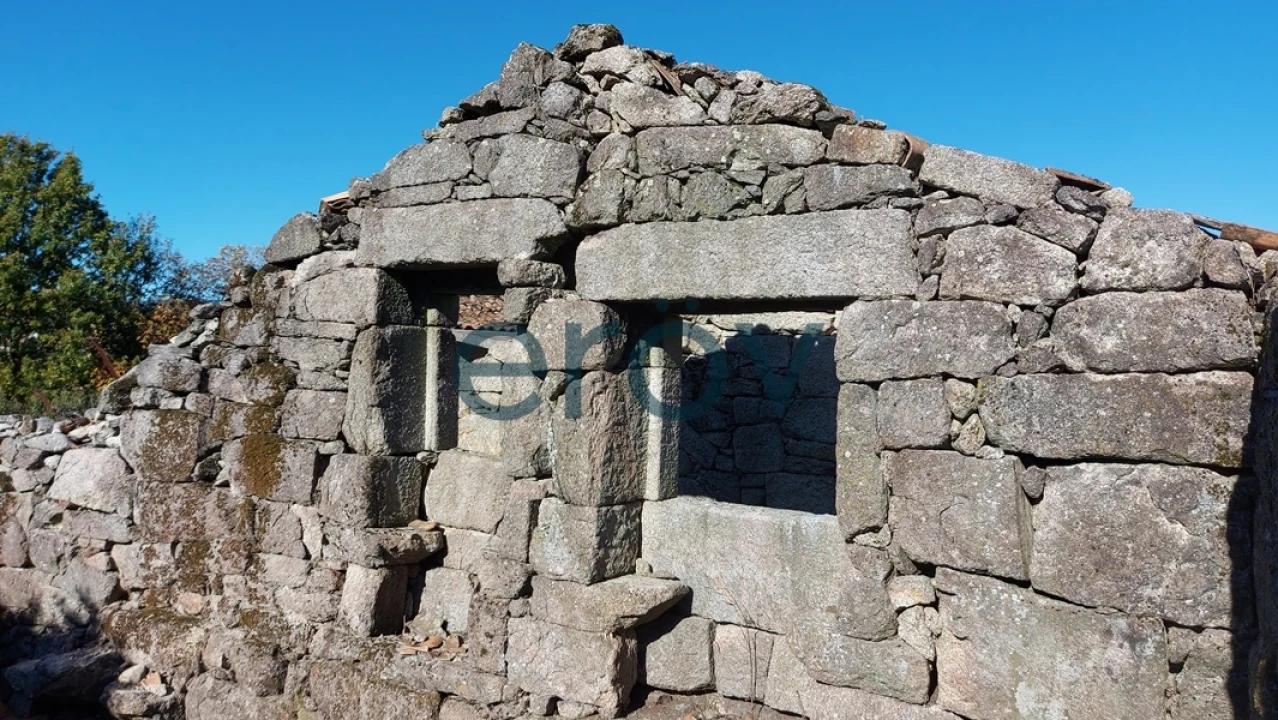 Quinta T0 para Venda em Ruivães e Campos Foto 12