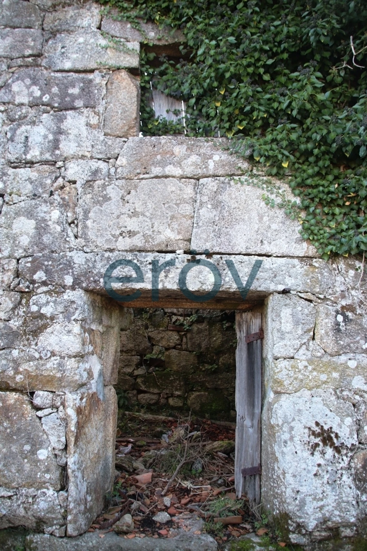 Quinta T0 para Venda em Ruivães e Campos Foto 33