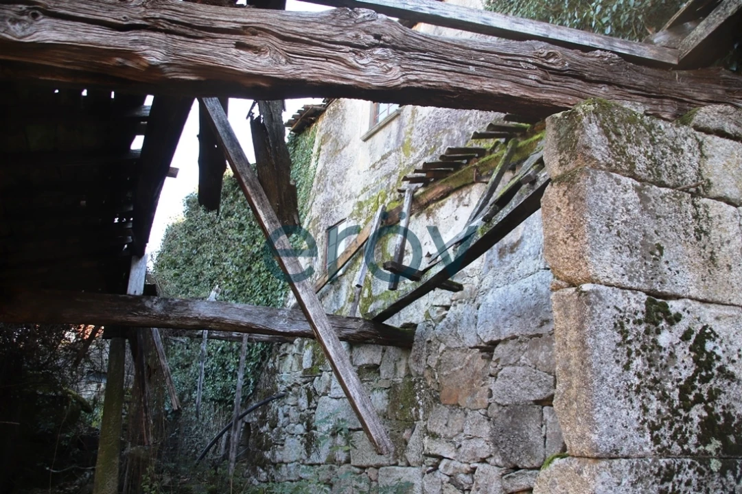 Quinta T0 para Venda em Ruivães e Campos Foto 24