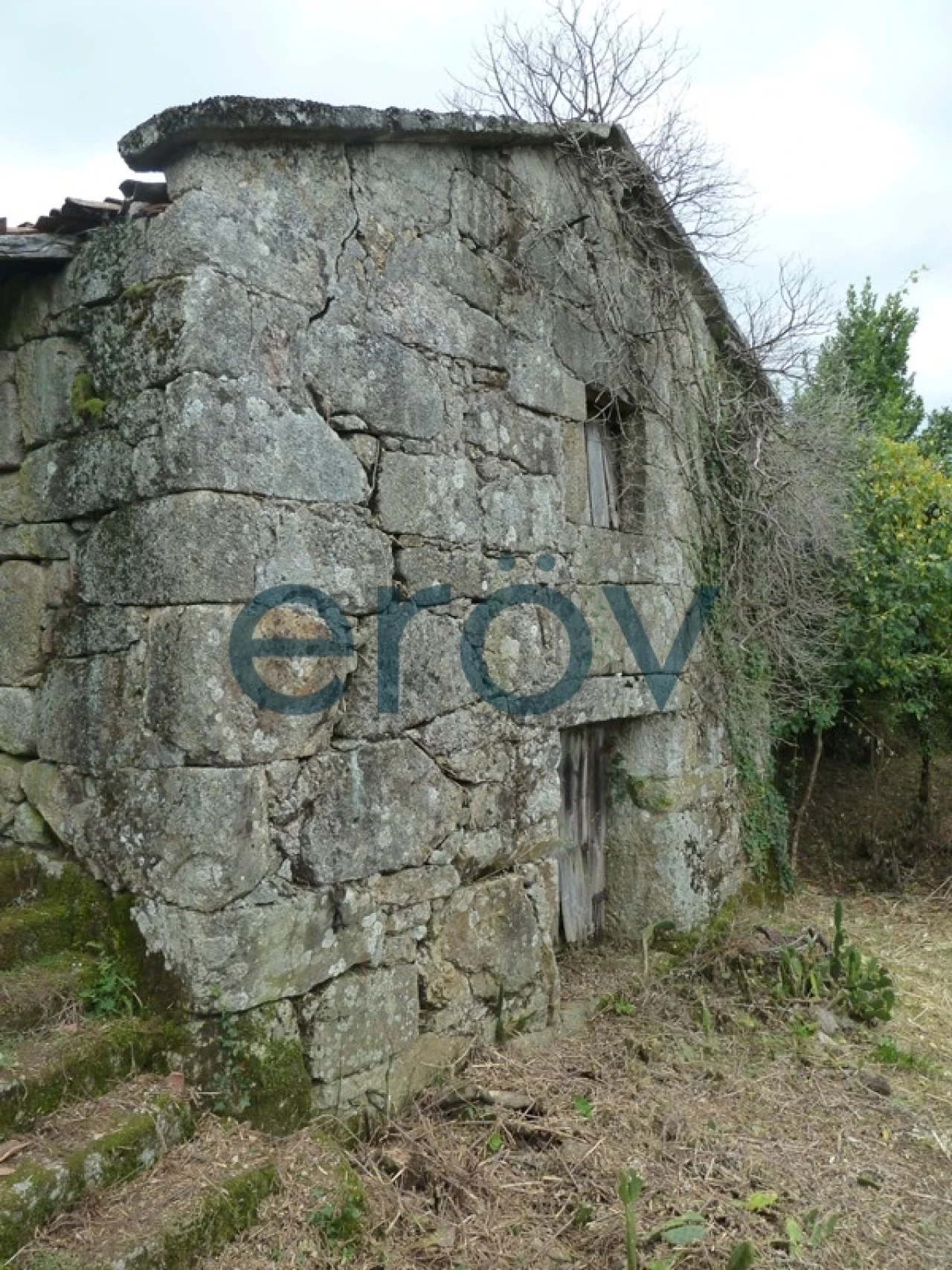 Quinta T0 para Venda em Ruivães e Campos Foto 3