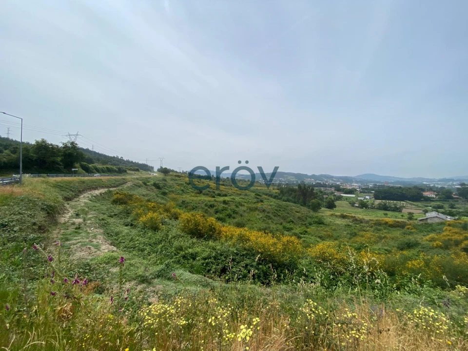 Quinta T0 para Venda em Silvares Foto 9