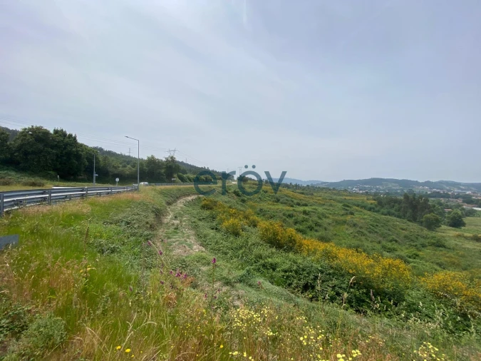 Quinta T0 para Venda em Silvares Foto 6