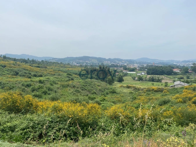 Quinta T0 para Venda em Silvares Foto 3