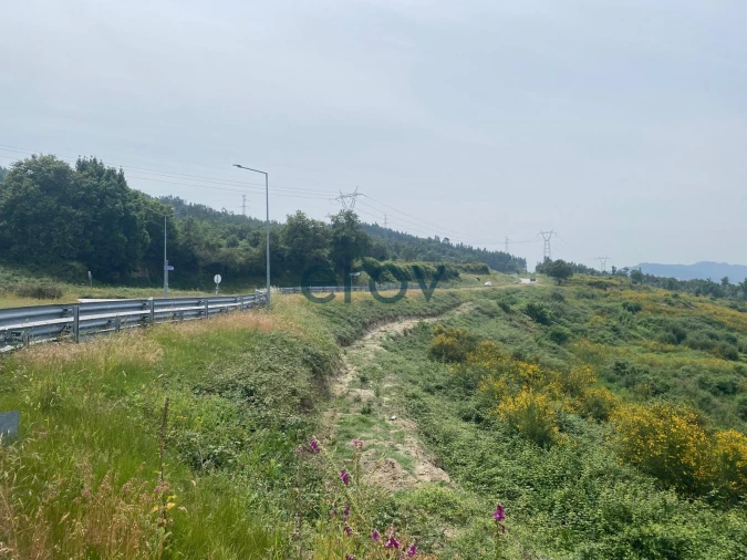 Quinta T0 para Venda em Silvares