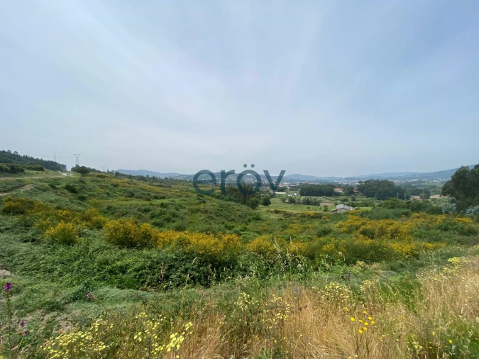 Quinta T0 para Venda em Silvares Foto 8