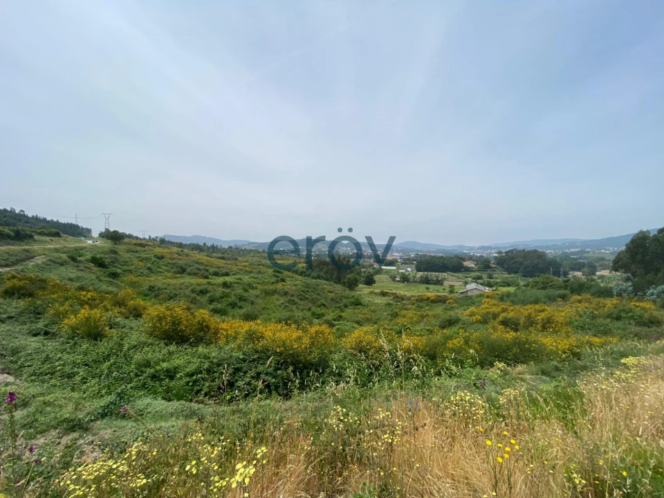 Quinta T0 para Venda em Silvares Foto 8