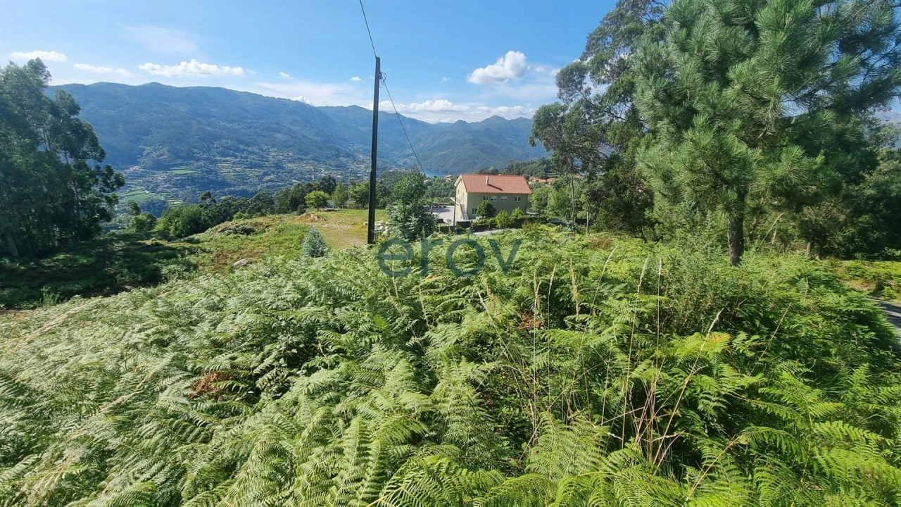 Terreno para Venda em Ventosa e Cova Foto 13