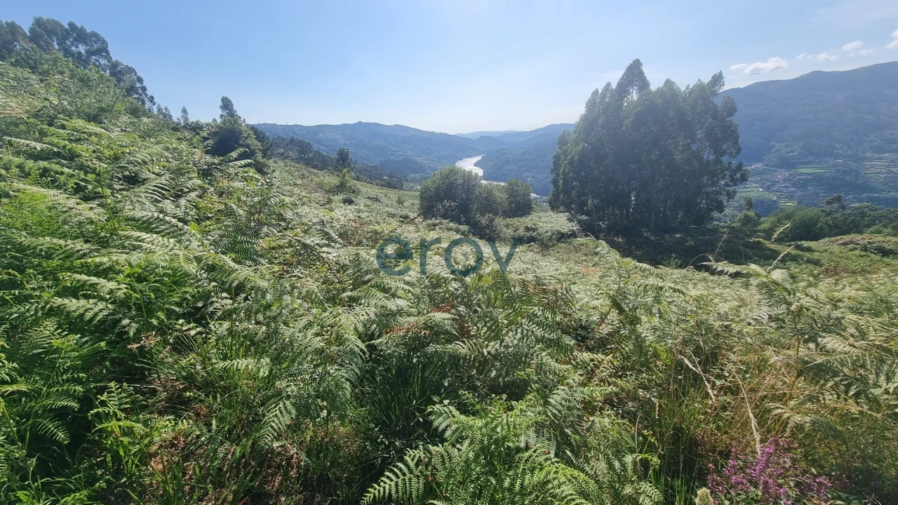Terreno para Venda em Ventosa e Cova Foto 5