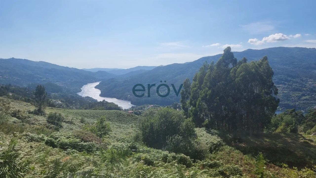 Terreno para Venda em Ventosa e Cova Foto 12