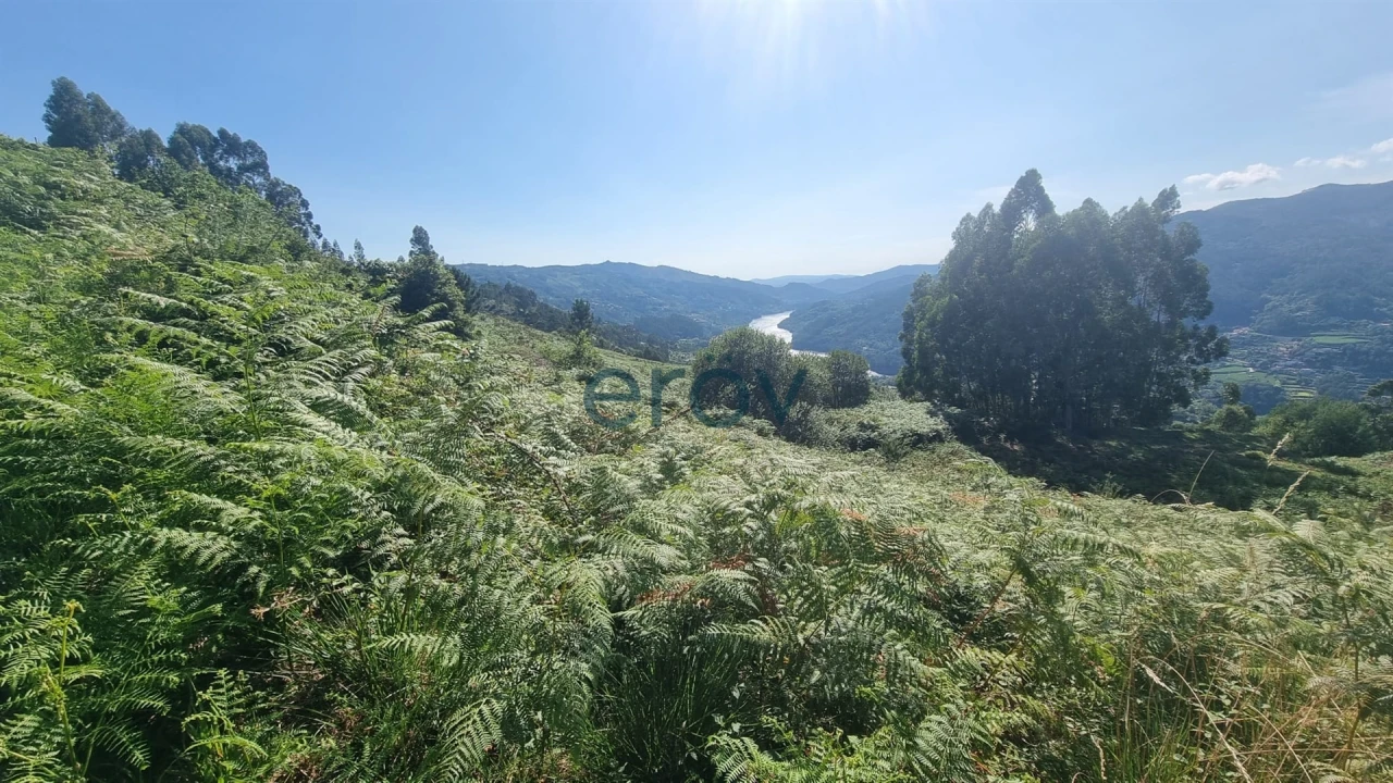 Terreno para Venda em Ventosa e Cova Foto 4