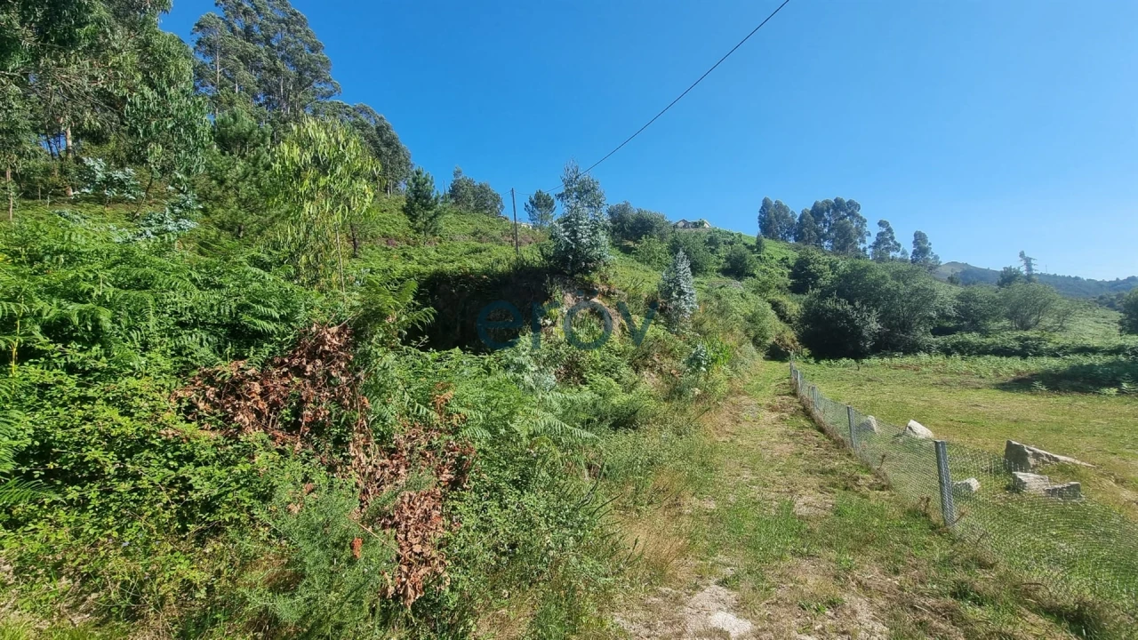 Terreno para Venda em Ventosa e Cova Foto 6