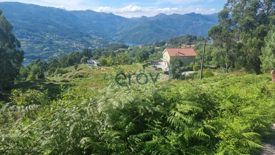 Terreno para Venda em Ventosa e Cova Foto 16