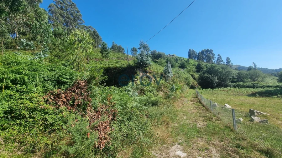 Terreno para Venda em Ventosa e Cova Foto 6