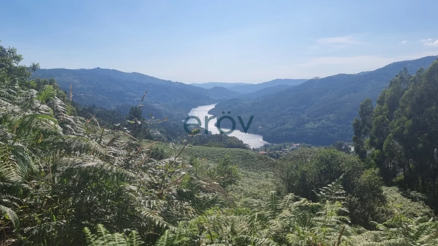 Terreno para Venda em Ventosa e Cova Foto 11