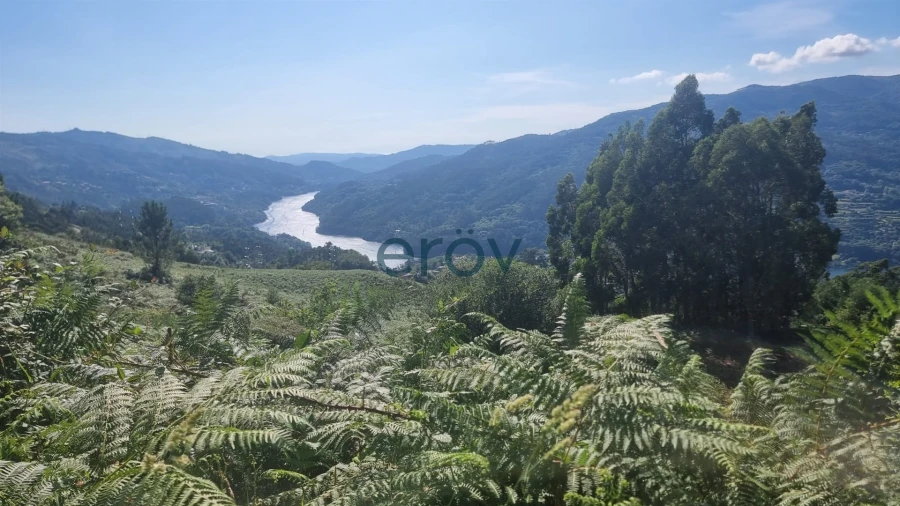 Terreno para Venda em Ventosa e Cova