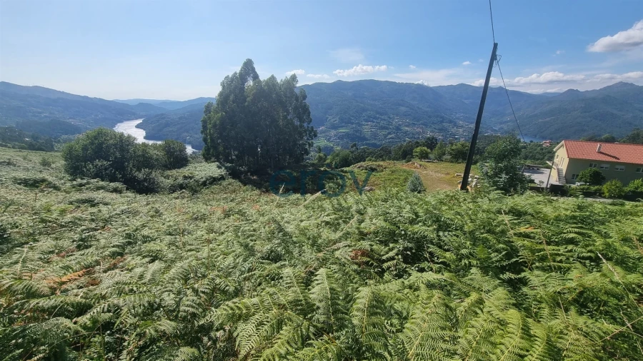 Terreno para Venda em Ventosa e Cova Foto 14