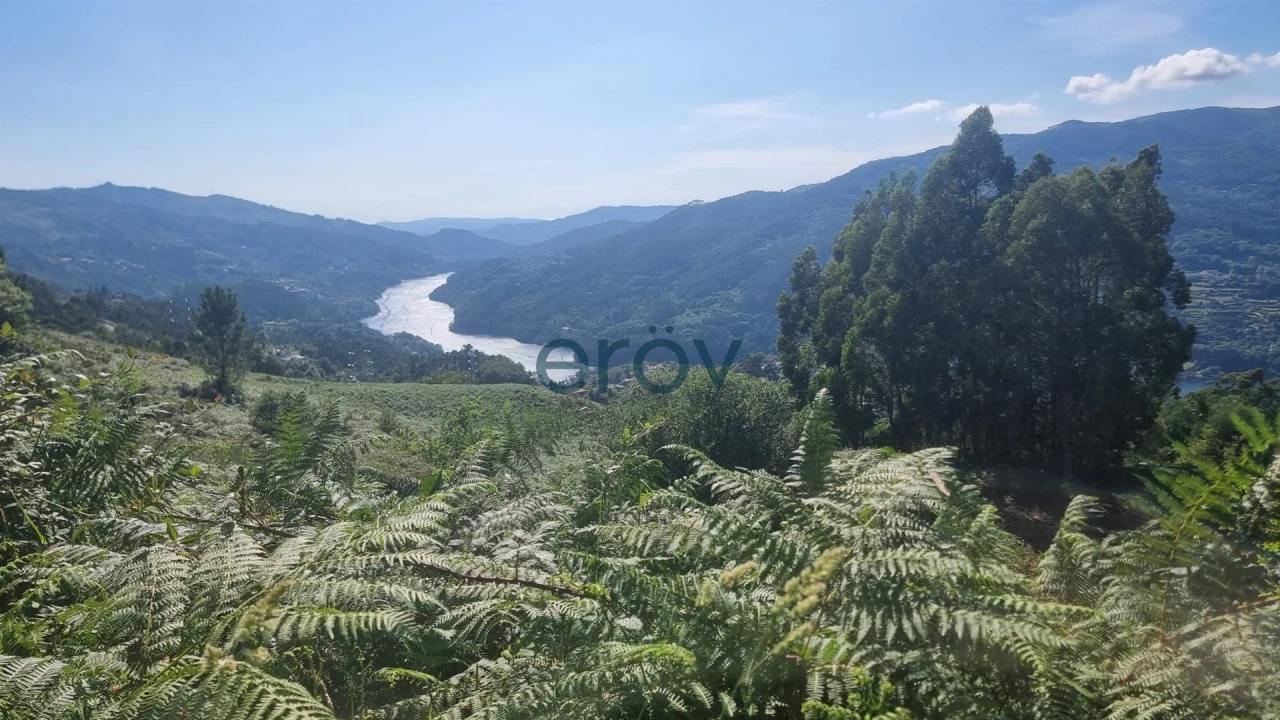 Terreno para Venda em Ventosa e Cova Foto 1