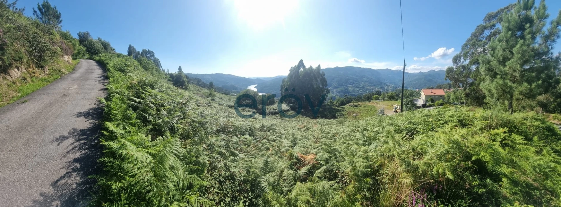 Terreno para Venda em Ventosa e Cova Foto 3