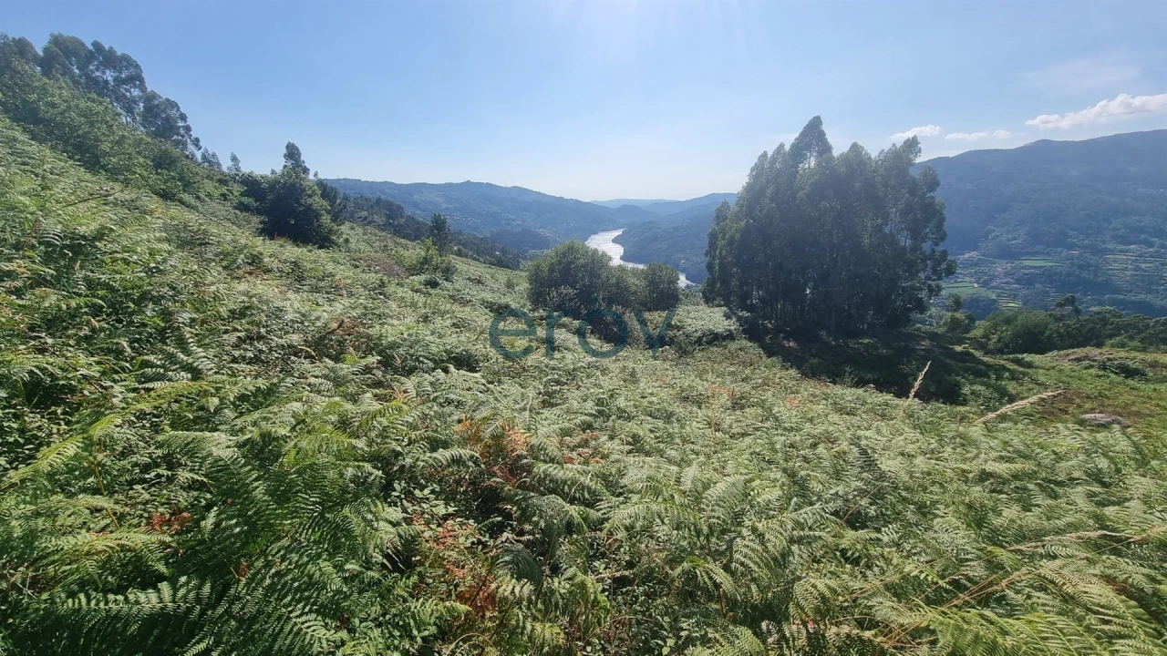 Terreno para Venda em Ventosa e Cova Foto 15