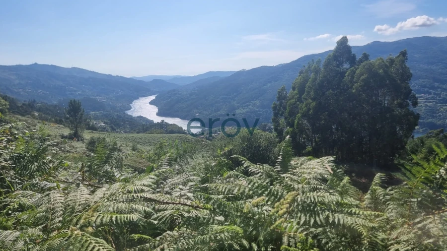 Terreno para Venda em Ventosa e Cova