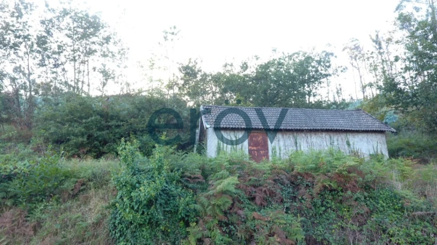 Terreno para Venda em Joane Foto 3