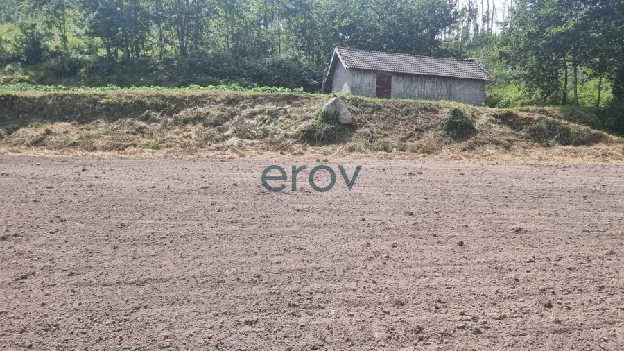 Terreno para Venda em Joane Foto 15